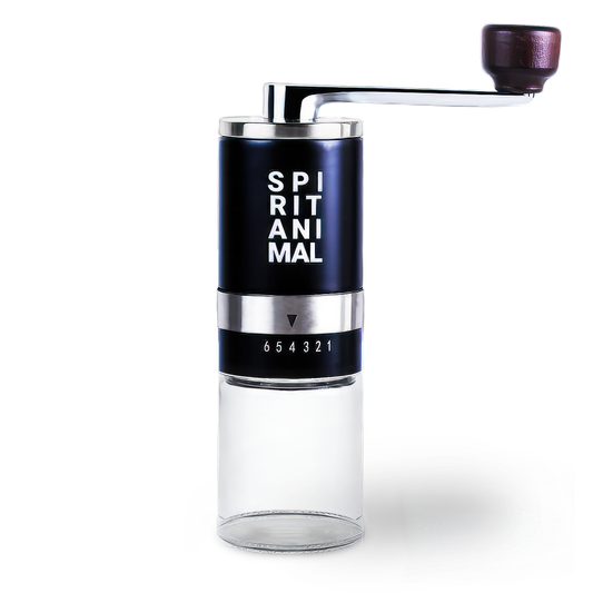 Manual Burr Coffee Grinder